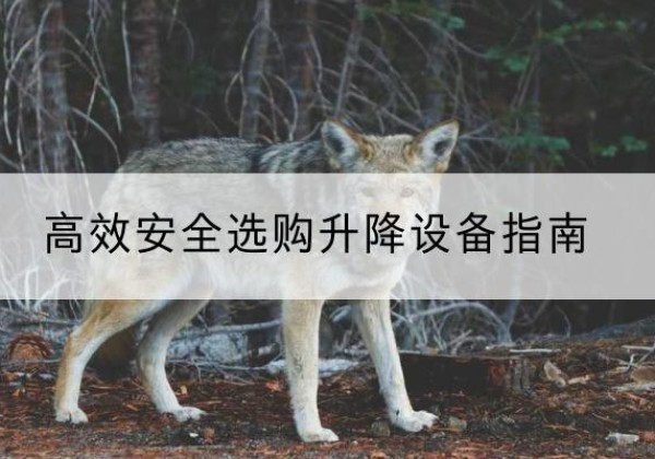 巫溪升降货梯厂家推荐-*安全选购升降设备指南