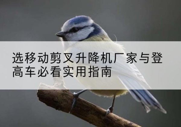 巫溪电动升降机厂家-选移动剪叉升降机厂家与登高车必看实用指南