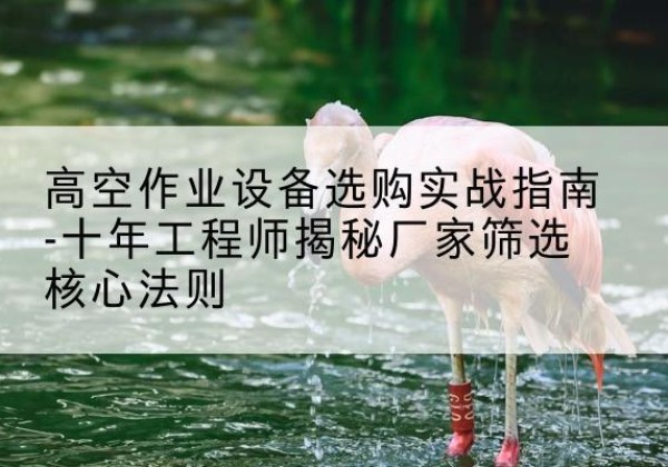 巫溪剪叉式升降机厂家-高空作业设备选购实战指南-十年工程师揭秘厂家筛选核心法则